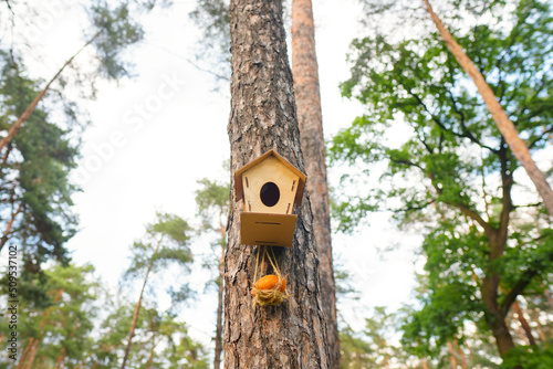 New birdhouse with a drinking bowl in the park