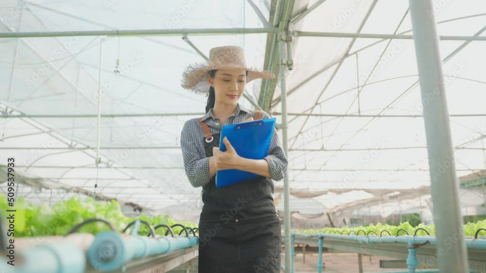 Asian young beautiful farmer women work in vegetables hydroponic farm. Asian young beautiful farmer women work in vegetables hydroponic farm.