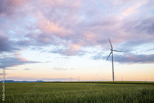 wind turbines in the field © Dirk