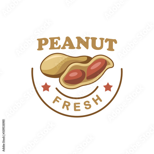 vintage logo peanut vector template illustration