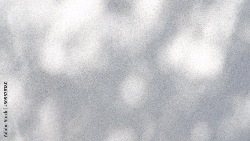 Abstract leaves gray shadow background with light bokeh, Abstract gray shadow background of natural leaves tree branch falling on white wall and wallpaper texture