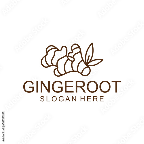 Ginger root logo. Round linear logo of ginger on white background