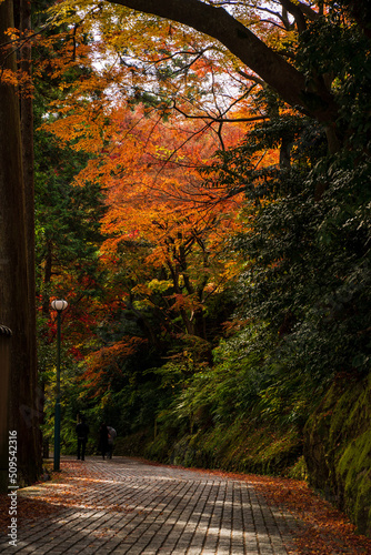 中山温泉と紅葉