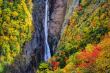 秋の称名滝