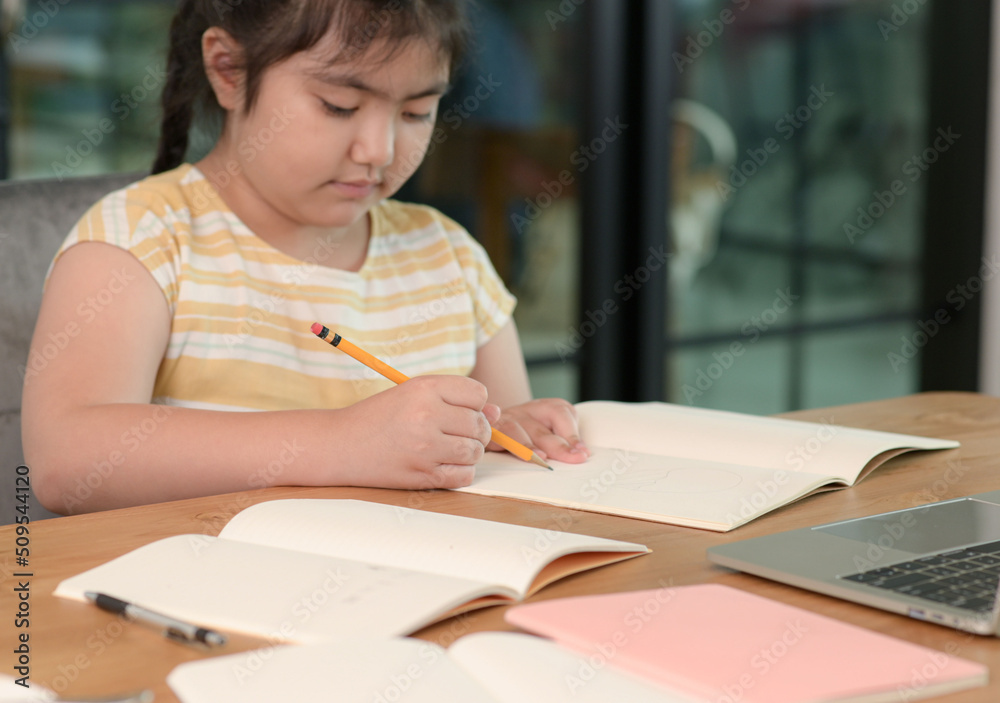 Asian girls are studying in tutoring, studying online at home, girls are bored and tired from tutoring. Asian girls are studying in tutoring, studying online at home, girls are bored and tired from tutoring.