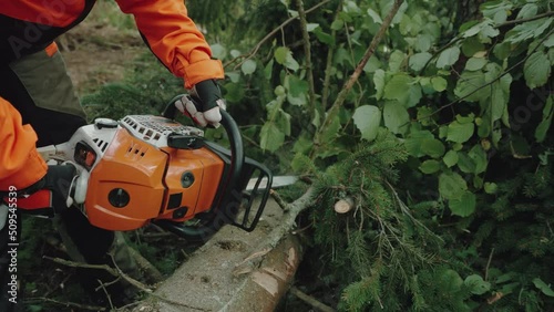 Wallpaper Mural Slow motion, female logger in the forest, young woman specialist in protective gear cuts a tree branches with a chainsaw, hard works on deforestation. Torontodigital.ca