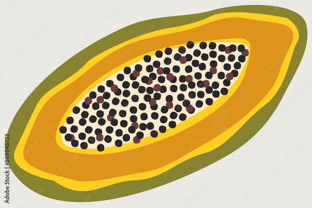 Vector bright illustration of half of papaya isolated on light grey background. Vector bright illustration of half of papaya isolated on light grey background.