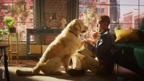 Young Adult Man Having Fun, Training His Golden Retriever Pet on a Living Room Floor. Dog Owner Offering a Snack in Exchange for Shaking Dog's Paw.