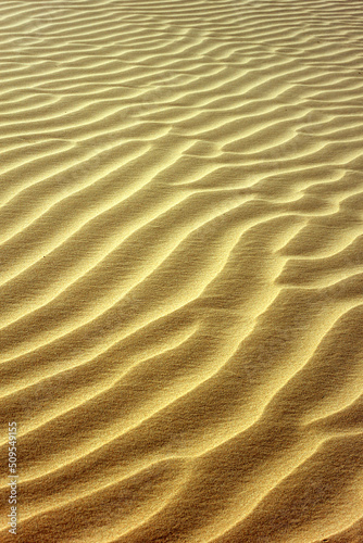 sand  desert  beach  texture  pattern  dune  nature  abstract  wave  dry  sea  ripple  wind  brown  sandy  summer  textured  yellow  ripples  coast  dunes  rippled  hot  waves  sahara  sandridge