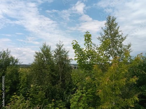 Blick über Felder und Wiesen