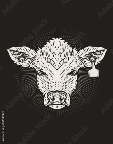 Illustration cow head vintage engraving style