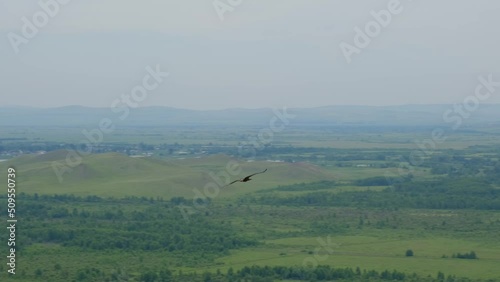A bird of prey flying against the background of steppes, hills and a cloudy sky