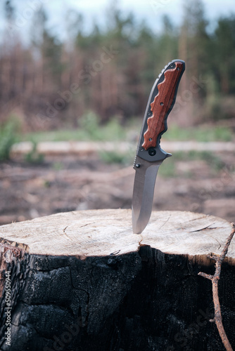 Tactical knife for survival and protection difficult conditions, stuck in the stump sawn tree in forest.