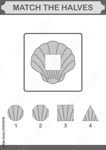 Match halves of Seashell. Worksheet for kids