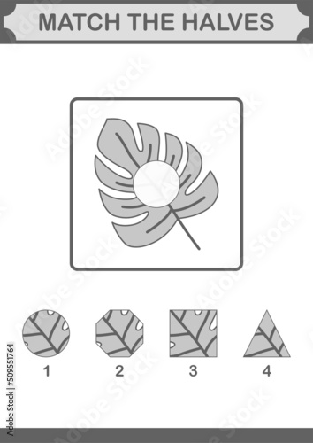 Match halves of Monstera. Worksheet for kids