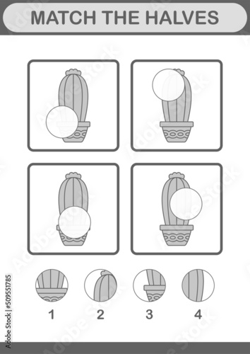 Match halves of Cactus. Worksheet for kids