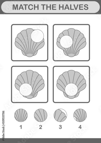Match halves of Seashell. Worksheet for kids