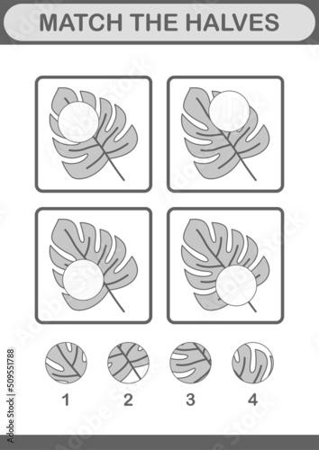 Match halves of Monstera. Worksheet for kids