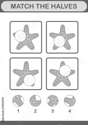 Match halves of Starfish. Worksheet for kids