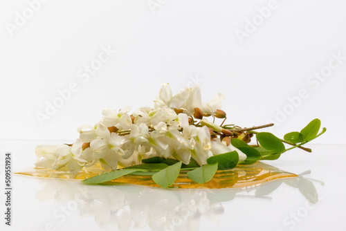 Honey and blossoming acacia isolated on white background
