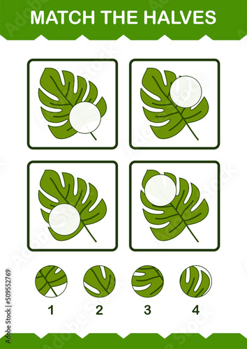 Match halves of Monstera. Worksheet for kids