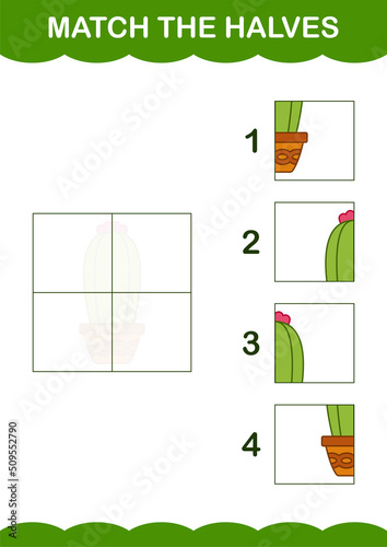 Match halves of Cactus. Worksheet for kids