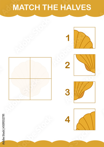 Match halves of Seashell. Worksheet for kids