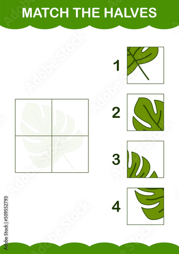 Match halves of Monstera. Worksheet for kids