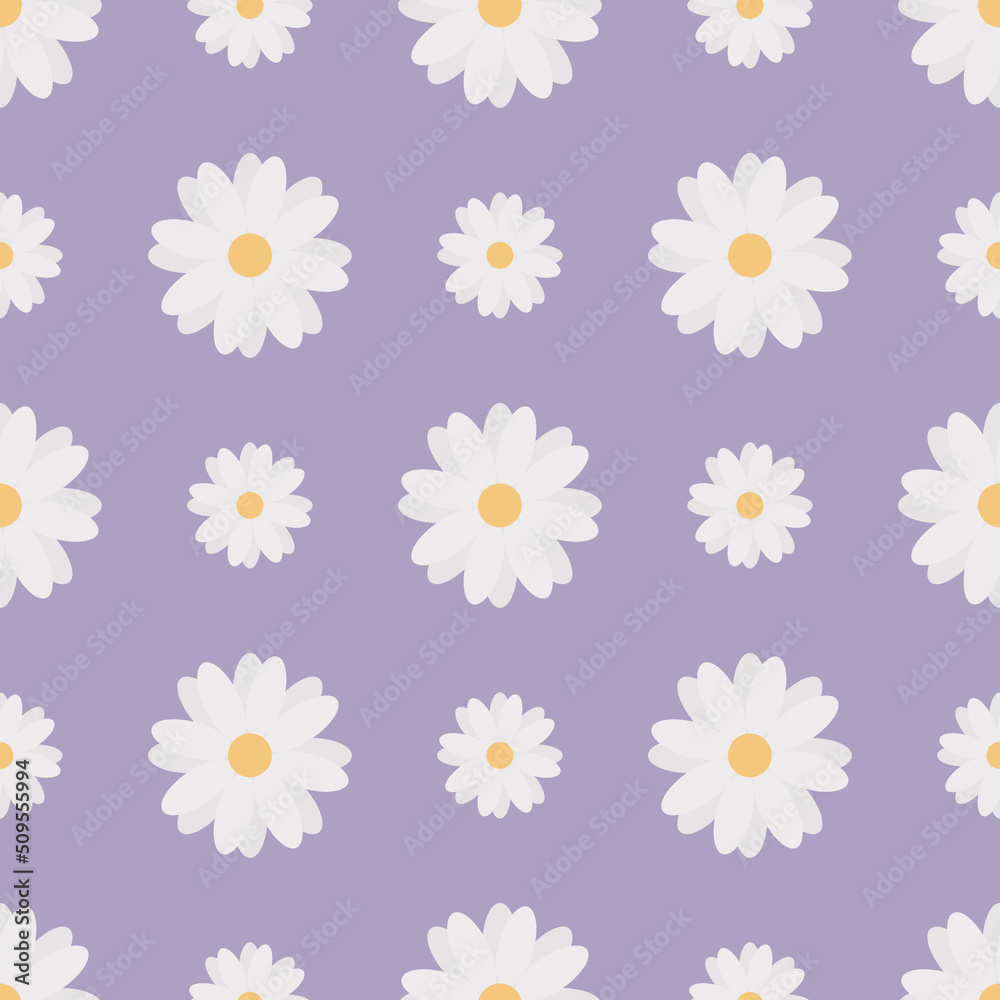 Camomiles. Delicate white flowers. Repeating vector pattern. Isolated purple background. White daisies. Seamless summer ornament. Delicate floral background. Flat style. Flowering plant. 
