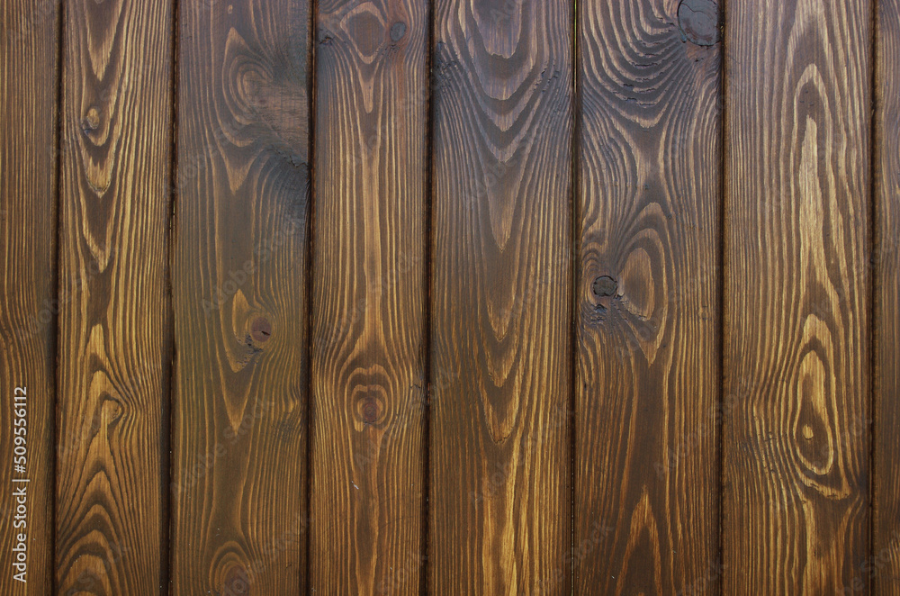 The texture of pine tinted under oak. Fence surface. The texture of pine tinted under oak. Fence surface.