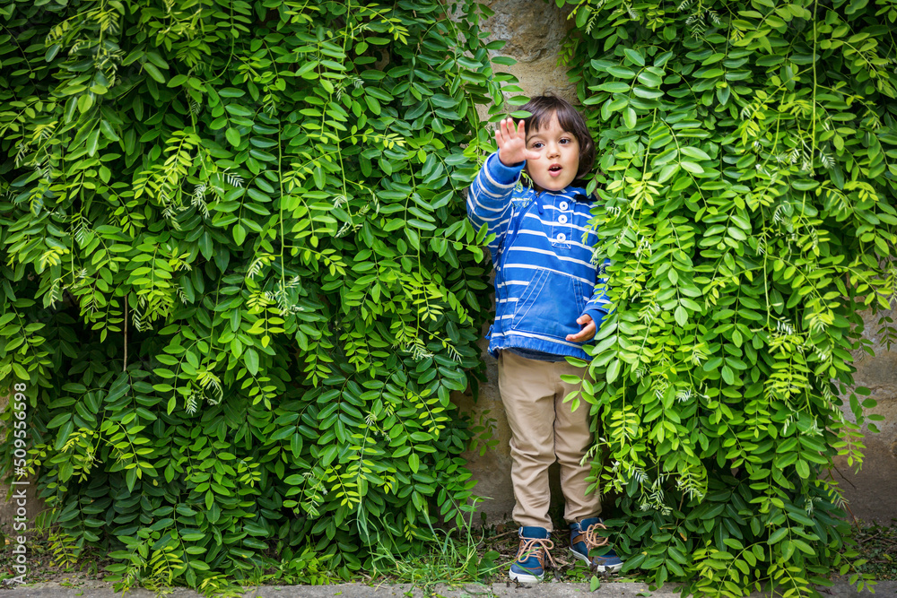 Portrait of a little handsome baby boy playing outdoor in the park. Child hiding surraunded green leaves Portrait of a little handsome baby boy playing outdoor in the park. Child hiding surraunded green leaves