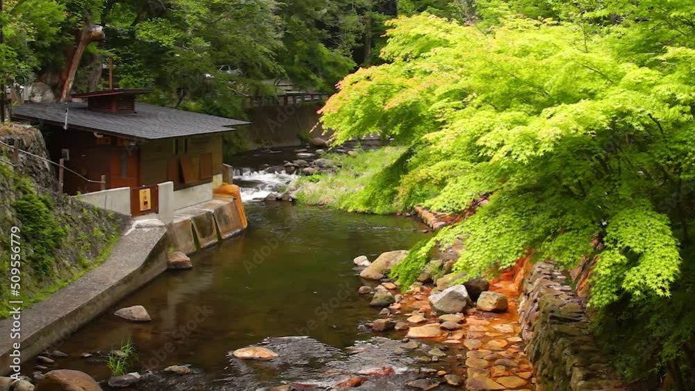 黒川温泉街を流れる田の原川 新緑 阿蘇 黒川温泉街を流れる田の原川 新緑 阿蘇