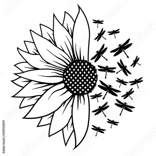 Sunflower And Dragonfly silhouette, Dragonflies illustration