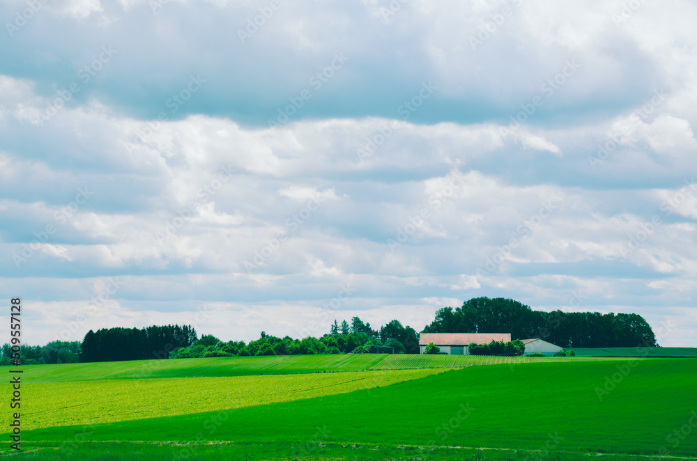 beautiful Bavarian nature, summer landscape beautiful Bavarian nature, summer landscape