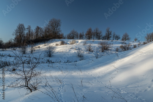 Winter nature landscape. Snowy slopes sunlight. Photo for decoration and design