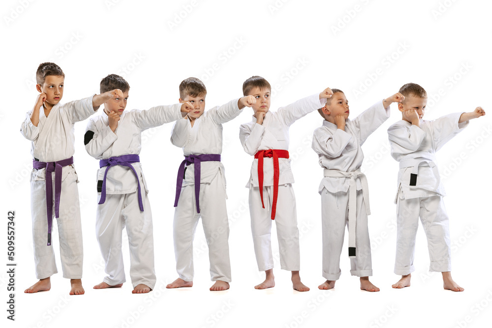 Sport training of 6 little kids, beginner karate fighters in white doboks practicing together isolated on white background. Concept of sport, martial arts, education Sport training of 6 little kids, beginner karate fighters in white doboks practicing together isolated on white background. Concept of sport, martial arts, education