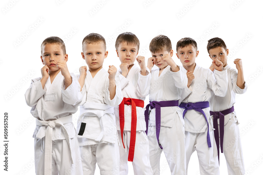 Group of happy children, beginner karate fighters in white doboks standing together isolated on white background. Concept of sport, martial arts, education Group of happy children, beginner karate fighters in white doboks standing together isolated on white background. Concept of sport, martial arts, education
