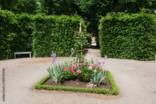 Hecken im Barockgarten Kloster Neuzelle in Brandenburg photo