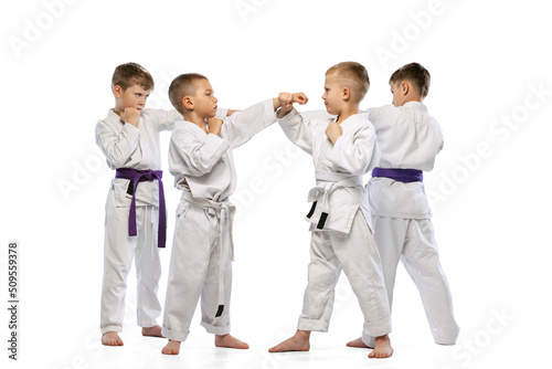 Little beginner karate fighters in white doboks and colorful belts training isolated on white background. Concept of sport, martial arts, education, childhood