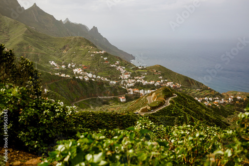 The north coast of Tenerife island, the scenic green Anaga park landscape. photo