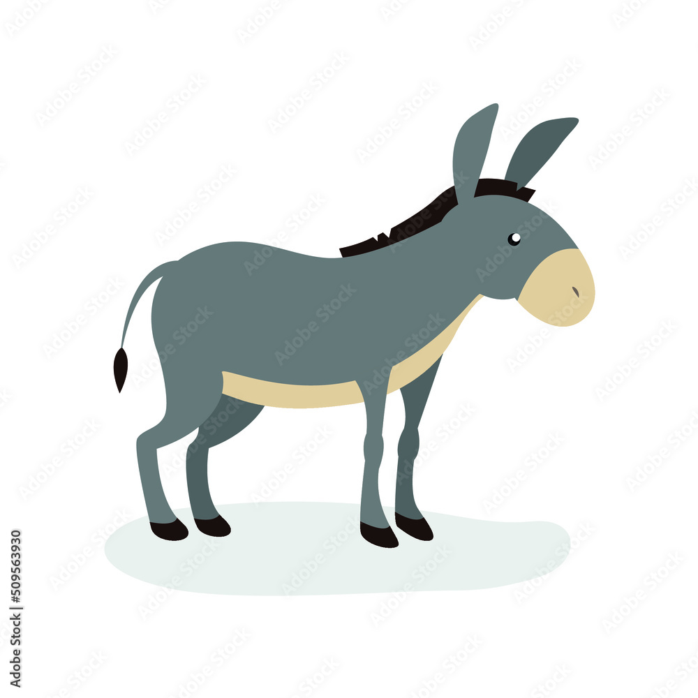 Obraz premium Donkey stands on its paws