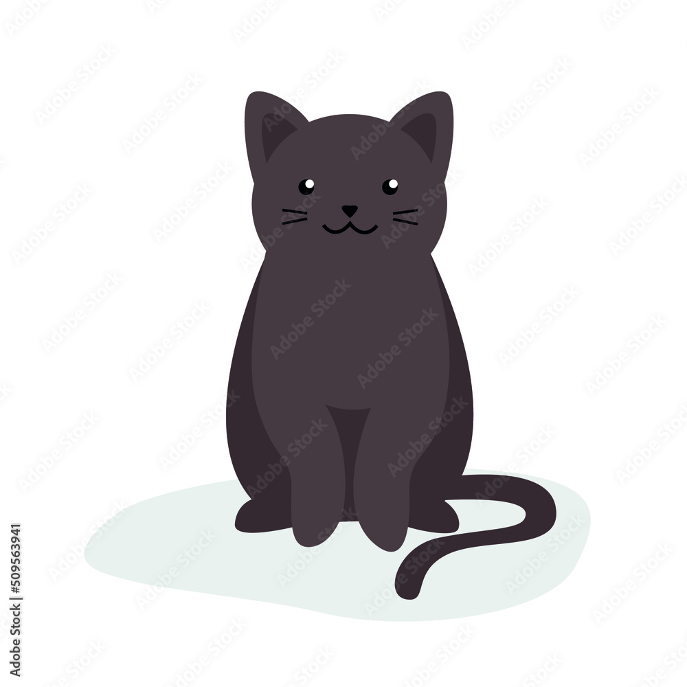 Obraz premium Gray kitten sits and looks ahead