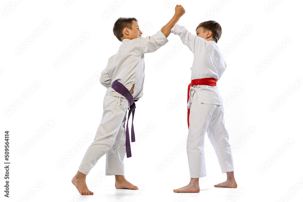 Dynamic portrait of two little boys, taekwondo or karate athletes wearing doboks training together isolated on white background. Concept of sport, martial arts Dynamic portrait of two little boys, taekwondo or karate athletes wearing doboks training together isolated on white background. Concept of sport, martial arts
