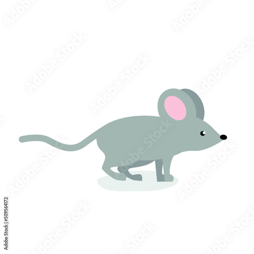 Gray mouse stands on its paws