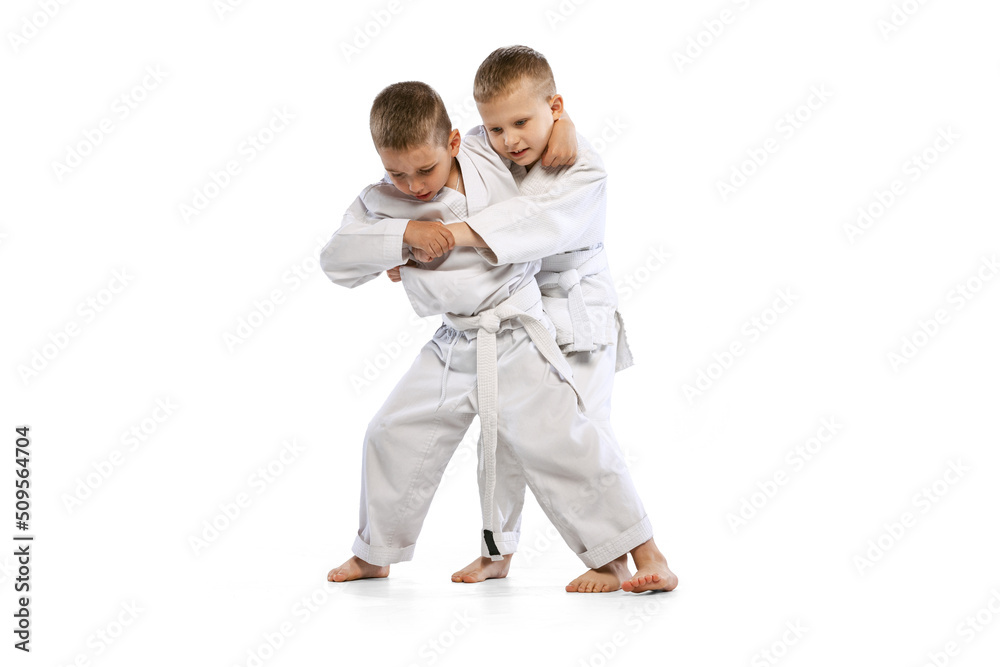 Dynamic portrait of two little boys, taekwondo or karate athletes wearing doboks training together isolated on white background. Concept of sport, martial arts Dynamic portrait of two little boys, taekwondo or karate athletes wearing doboks training together isolated on white background. Concept of sport, martial arts