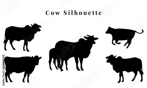 Cow graphic icon. Cow black silhouette isolated on white background. Vector illustration
