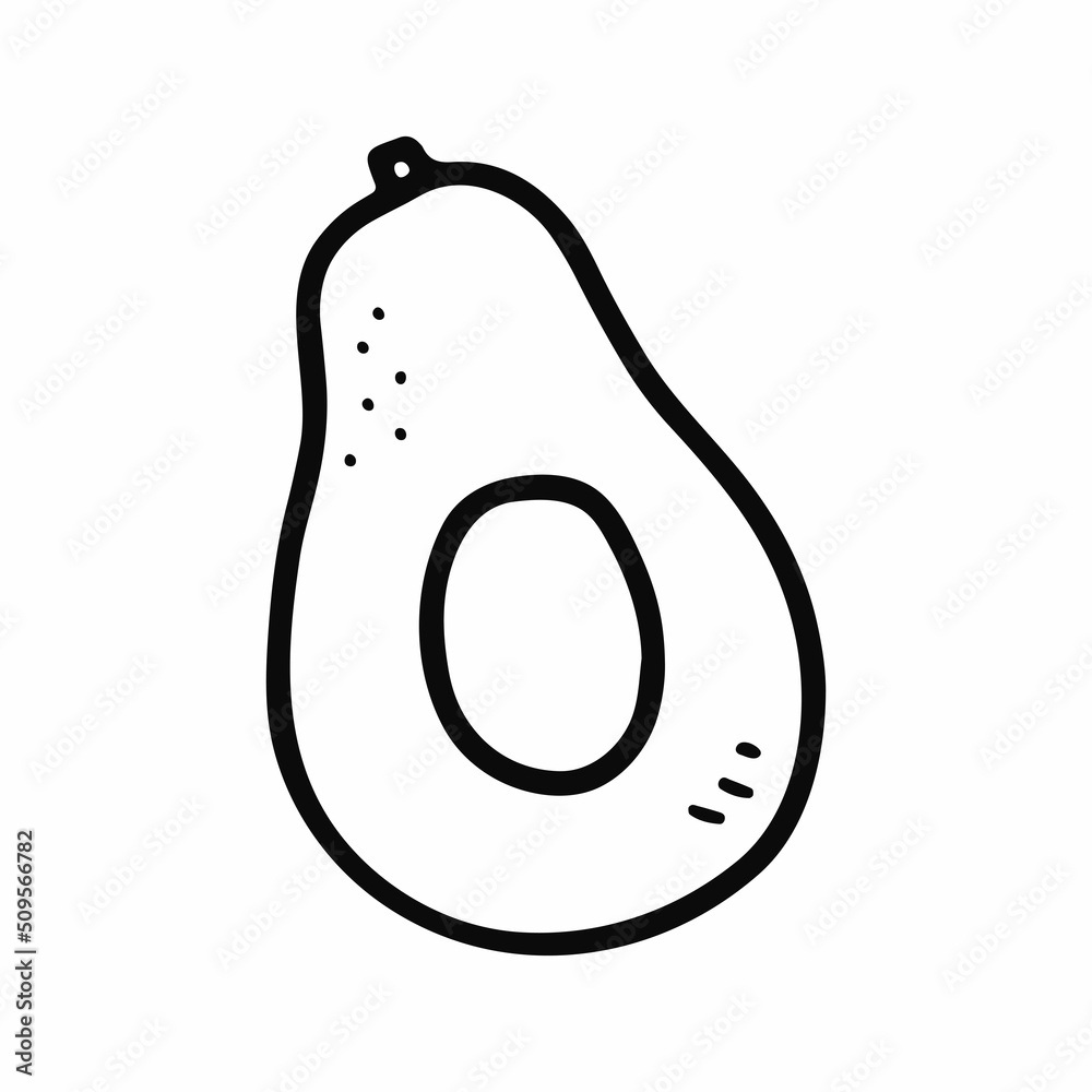 Doodle Avocado. Hand-drawn fresh natural fruit isolated on white background. Outline symbol of healthy vegetarian food, diet, vitamin, breakfast, delicious snack, organic plant. Vector illustration Doodle Avocado. Hand-drawn fresh natural fruit isolated on white background. Outline symbol of healthy vegetarian food, diet, vitamin, breakfast, delicious snack, organic plant. Vector illustration