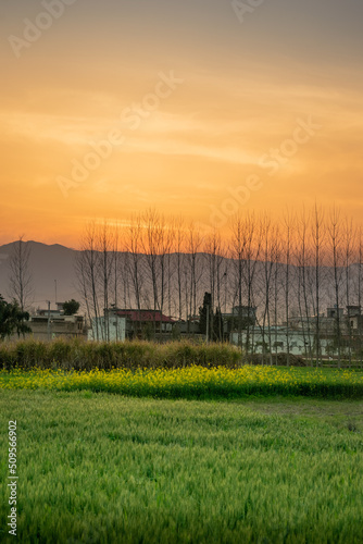 Village Sunset
