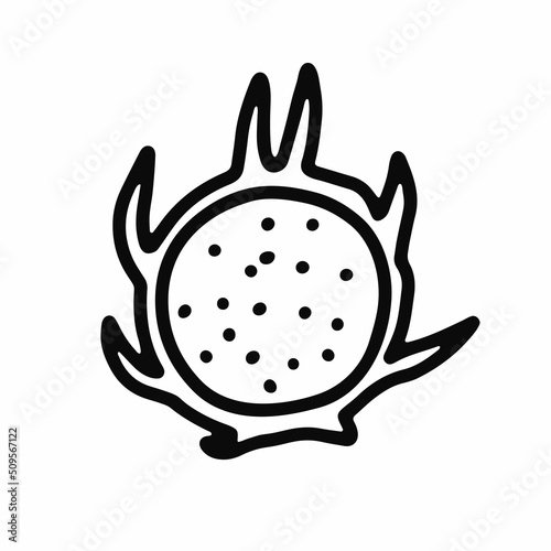 Doodle ripe dragon fruit. Outline pitahaya isolated on white background. Hand-drawn line Pitaya fruit. Symbol of summer, healthy raw food, exotic food. Fresh cute tropical print. Vector illustration