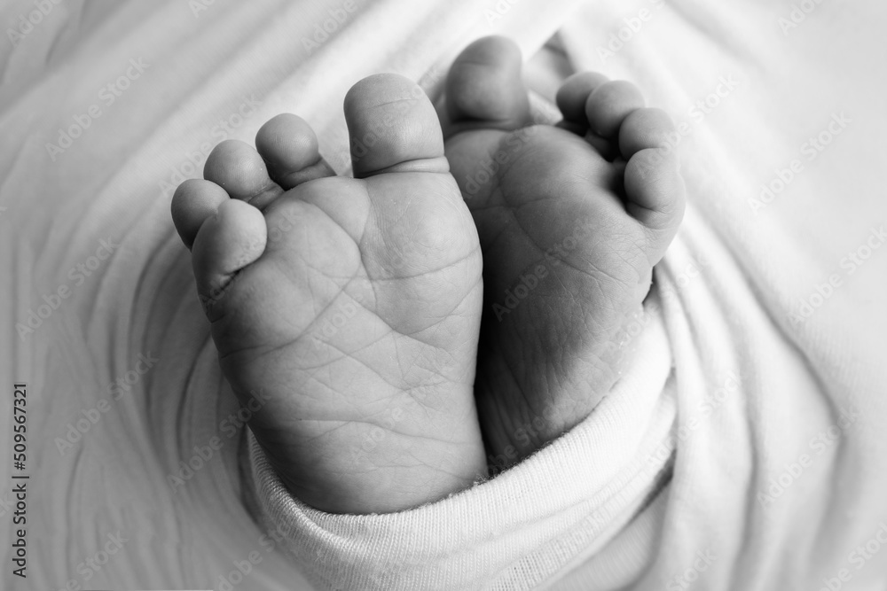 Tiny, cute, bare feet of a little newborn baby girl or boy, two weeks old, wrapped in a soft and cozy blanket. Professional studio macro photography of a newborn. Fingers, feet, heels. Black and white Tiny, cute, bare feet of a little newborn baby girl or boy, two weeks old, wrapped in a soft and cozy blanket. Professional studio macro photography of a newborn. Fingers, feet, heels. Black and white